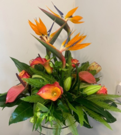 Miss divine  - Bird of paradise, anthuriums, roses, lilies, tropical foliage